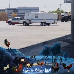 Meet your Posher, Luis